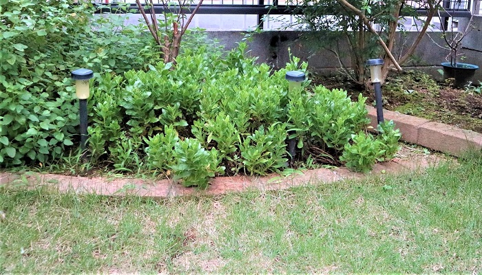 お庭のイメージを変えるのにおすすめ 底面 花壇柵 デザイン実例 Lovegreen ラブグリーン