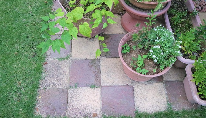 お庭のイメージを変えるのにおすすめ 底面 花壇柵 デザイン実例 Lovegreen ラブグリーン
