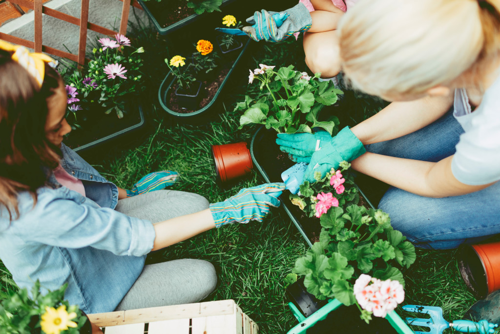 Top view of mother and daughter planting flowers in a backyard. Mother planting flower and her daughter adding ground in a flowerpot with a shovel.