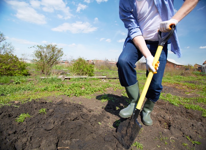 作物の根がグングン伸びるようなふかふかの土を作りましょう。  土質～団粒構造を目指しましょう。 家庭菜園で一番大切なのは、植物にとって土質・水はけ・酸度の3つが揃った良い環境を作ることです。