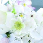 ふんわり優しい！春の白い生花