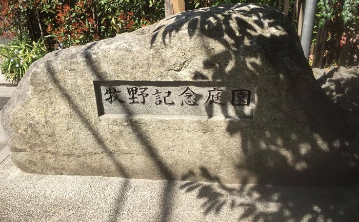 日本の植物分類学の父、牧野富太郎先生が人生最後の場所として選んだのは東京都練馬区の大泉でした。練馬区にある牧野記念庭園は、牧野富太郎先生が最後の時を過ごした場所を記念館と記念庭園にし、牧野富太郎先生が命名された植物を植え、関連展示を行っています。今回は場所の情報、お庭の情報をご紹介します！