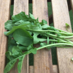 ルッコラの育て方 栽培 Lovegreen ラブグリーン