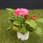 ガーベラの育て方 Lovegreen ラブグリーン