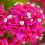 f84b17d455b789971399a02c0cefda