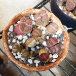 リトープスの育て方 Lovegreen ラブグリーン