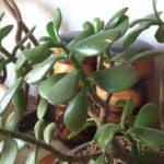 d73fea9eb9026e572a4958e90245de