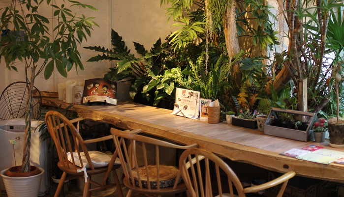 植物に囲まれたカフェgreenplanetcafeに行ってきました Lovegreen ラブグリーン