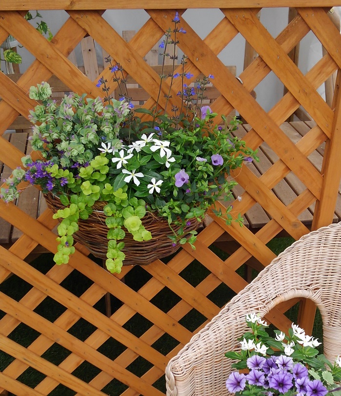 ７月の寄せ植えの作り方 涼し気な青い花を使ったハンギングバスケット Lovegreen ラブグリーン