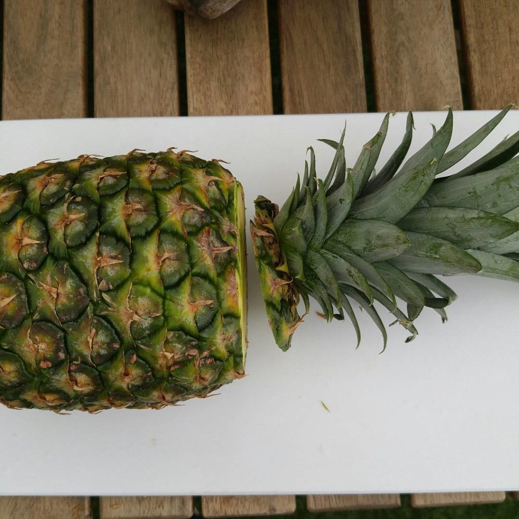 パイナップルのヘタを腐らせない水挿しでの殖やし方！ LOVEGREEN(ラブグリーン)