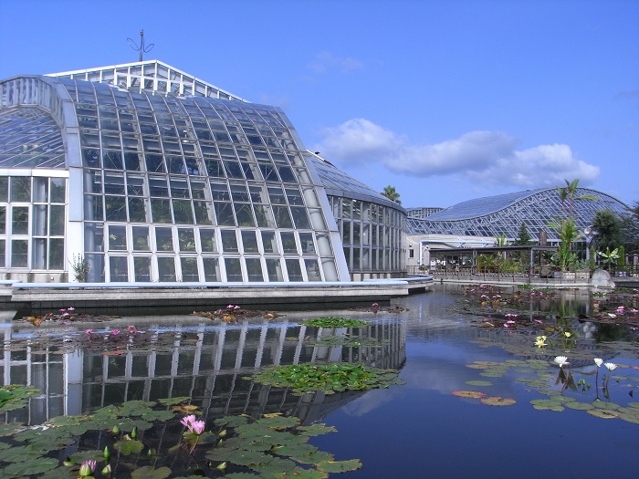 京都府立植物園は、日本で最も古い公立総合植物園として知られています。なんと大正１３年に開園したというから驚きですね。この植物園の魅力は日本最大級の観覧温室！展示植栽植物は約４５００種類に及び、世界の熱帯植物を身近に観賞することができます。また自然林・植物生態園なども整備され、都市部の人混みを忘れてゆったりとくつろぐことのできるスポットとなっています。