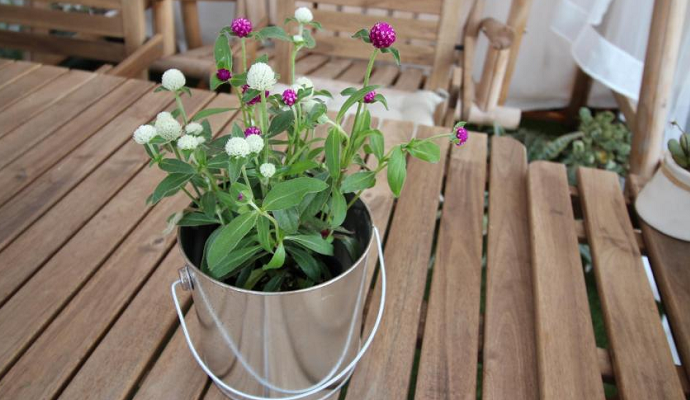 特にプランターや鉢植えで育てる場合は、朝晩の水やりが欠かせないほど土がカラカラになってしまいます。真夏は水分を積極的に与えましょう。