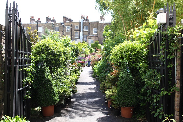 イギリスの老舗ガーデンショップ Clifton Nurseries で緑あふれる素敵な休日を Lovegreen ラブグリーン