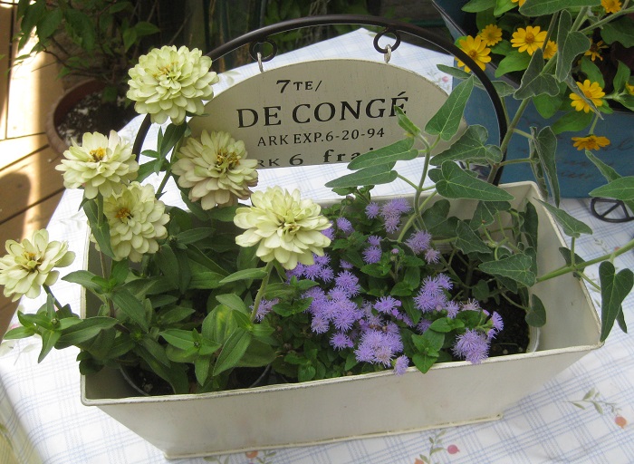 驚くばかり底に穴が開いた草花を育てるための器 すべての美しい花の画像