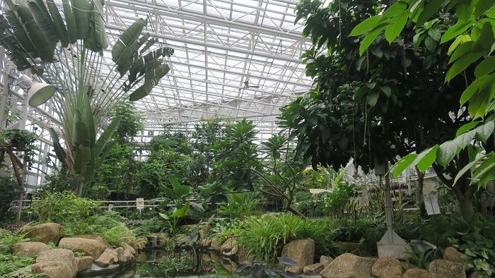 植物の真の姿が楽しめる 大きい温室のある植物園５選 Lovegreen ラブグリーン