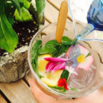 LOVEGREEN 編集部のベランダで、春から始まったハーブの収穫期を迎えています。 野菜とハーブをベランダで育てると、気軽にお料理にも使えて何だかワクワク楽しいですね♪ 今回は「自宅で簡単」ノンアルコールモヒートの作り方に、ちょっとしたサプライズアレンジのレシピを添えてご紹介します。