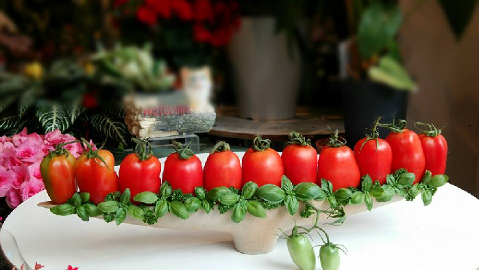 イタリアでしか作れなかったトマト レッドマジック を日本でも生産 特徴の味の七変化とは Lovegreen ラブグリーン