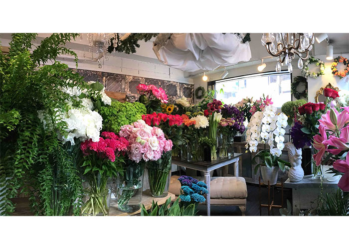 渋谷 青山 表参道の花屋 園芸店 植物園 Lovegreen ラブグリーン 渋谷 青山 表参道の花屋 園芸店 植物園 Lovegreen ラブグリーン