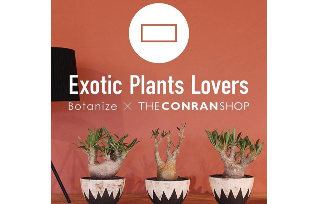 Exotic Plants Lovers Botanize X The Conran Shop 関東地方 東京 イベント ザ コンラン ショップ 新宿本店で開催 Lovegreen ラブグリーン