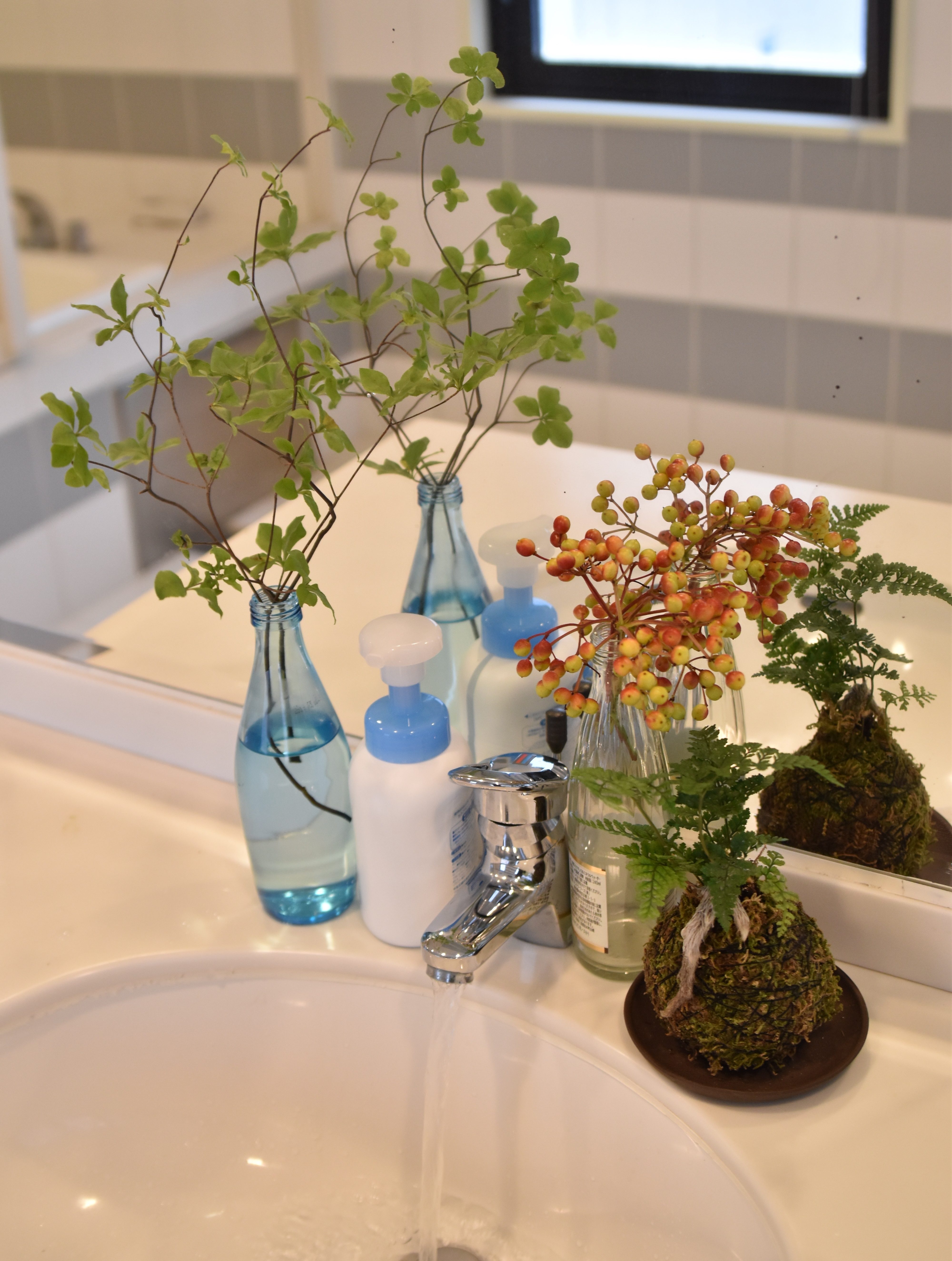 水回りも素敵に 洗面所におすすめの観葉植物8選と飾り方 Lovegreen ラブグリーン