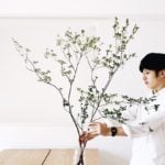 インテリアにも良い！ ドウダンツツジの枝を花瓶に生けよう。