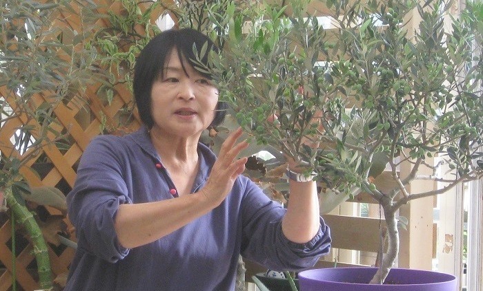 岡井路子先生によるオリーブの上手な育て方～樹形づくり・剪定・緑枝挿し | LOVEGREEN(ラブグリーン)