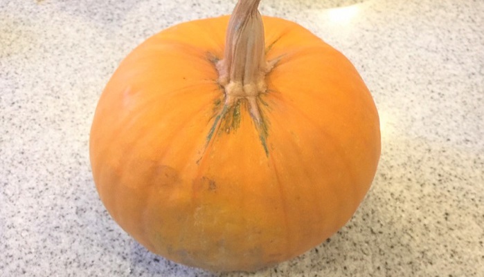 通りかかった農場で購入したハロウィンかぼちゃ。