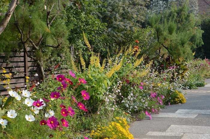 ディティールの細かさも東武トレジャーガーデンの魅力の一つ。庭の隙間を埋め尽くすような宿根草とバラの花が素敵です。
