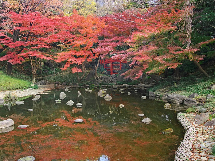 画像提供：小石川後楽園  都心にありながらも深山の景を有する小石川後楽園。480本あるイロハモミジの紅葉期は、情緒豊かな季節のひとつです。錦秋に染まる庭園へ、ぜひお越しください。
