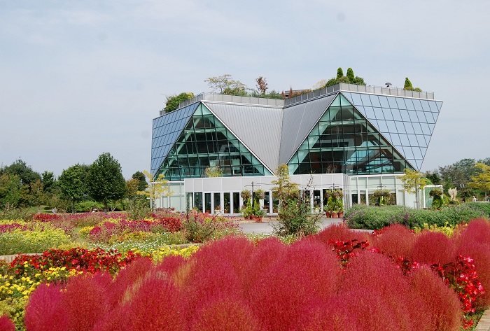 国営木曽三川公園の拠点の一つであるフラワーパーク江南。「江南花卉園芸公園（こうなんかきえんげいこうえん）」という名前が正式名称です。四季折々のお花が楽しめる公園で、秋にはコキアの紅葉が美しいスポットでもあります。