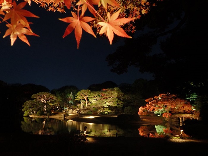 画像提供：六義園  都内有数の紅葉の名所である六義園（りくぎえん）。六義園では、今年で17回目を迎える秋のライトアップを行います。期間中は21時まで開園時間を延長して、秋の夜に朱色や黄金色に色づく木々が浮かび上がり、水面にまばゆく映し出される様子を楽しむことができます。