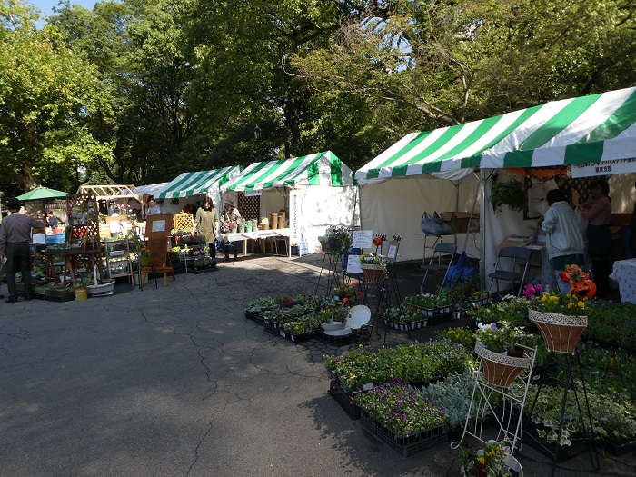 花の苗・園芸用品・野菜などの販売や、公園・庭園・街路樹などの管理運営について紹介するパネル展示をしています。