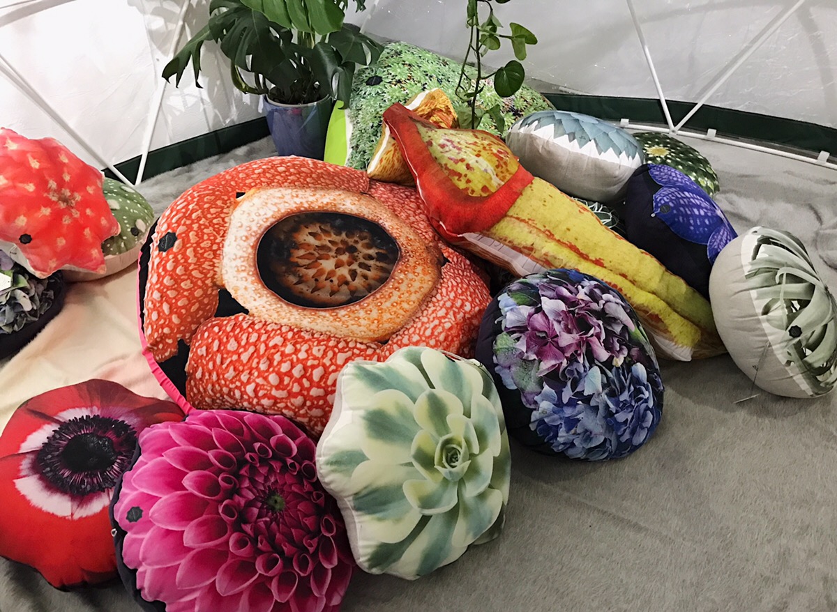 お花や植物たちがクッションに⁉可愛すぎる「たにくっしょん®」の展示会