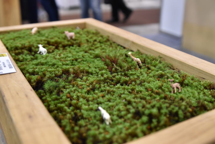 島根県江津市発、苔のもつ癒しを世界へと広めていくプロジェクト。  苔を使った、テラリウムや苔玉などのかわいらしい商品や、苔専用の畑で育てられている美しい苔が並べられていました。