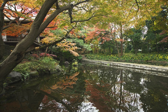画像提供：小石川後楽園  都心にありながらも深山の景を有する小石川後楽園。480本あるイロハモミジの紅葉期は、情緒豊かな季節のひとつです。錦秋に染まる庭園へ、ぜひ足を運んでみてください。