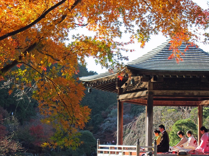 画像提供：成田市観光協会  成田山新勝寺　大本堂の奥に広がる165,000平方メートルもの大公園、成田山公園は、四季折々の表情を楽しむことができる憩いの場として、成田山を参詣する方や市民から大変親しまれています。  モミジ、クヌギ、ナラ、イチョウといった約250本の樹木の葉は、例年11月半ばから12月上旬に赤や黄色に色づき、池の水面に映し出された様子は雅やか。時間がゆっくりと感じられ、勾配のある散策路では、足を進める度に目まぐるしく変化する風景を楽しむことができます。  近年、この公園ならではの魅力が多くの方に伝わり、成田山公園は、駅から歩いて行ける本格的な紅葉の名所として年々注目を集めています。  今年も11月11日（土）から11月26日（日）に、第18回成田山公園紅葉まつりが開催されます。期間中の土曜・日曜・祝日には、箏・尺八、二胡による演奏会のほか、茶室「赤松庵（せきしょうあん）」において無料のお茶会が行われます。  また、11月18日（土曜）、19日（日曜）の2日間、成田山公園の中にある成田山書道美術館内で、昆虫展やクラフト展が行われます。