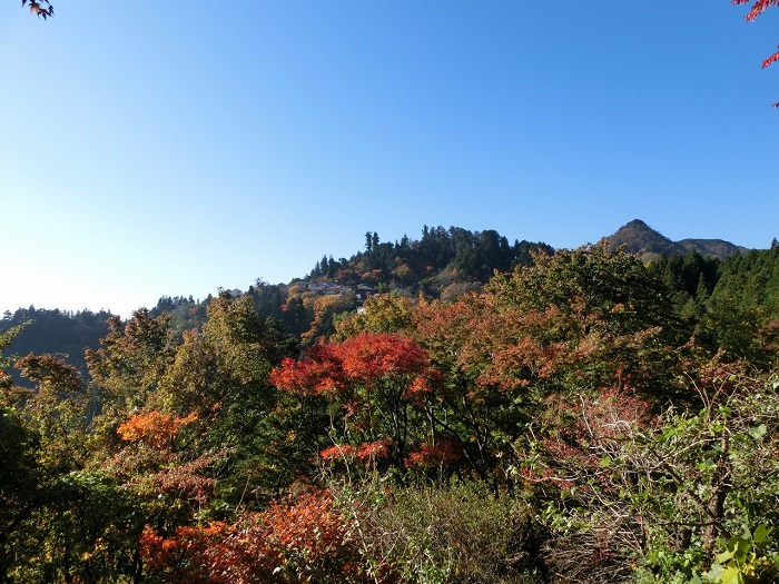 画像提供：青梅市観光協会  標高929ｍの御岳山では、都心より一足早く秋の気配を感じることができます。山頂近くまでケーブルカーを使って気軽に登ることができます。平地に比べて気温が低いので紅葉もひときわ美しく、イベントも盛り沢山です