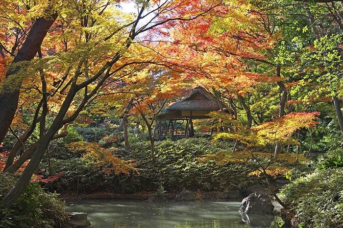 画像提供：東京都公園協会    ▼会場となる庭園をくわしくみる！                