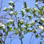 0fc7f0e2bdd07f70ea206efe42cf56