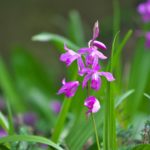 10bfe37e77a88c4c372554e27c4bf9