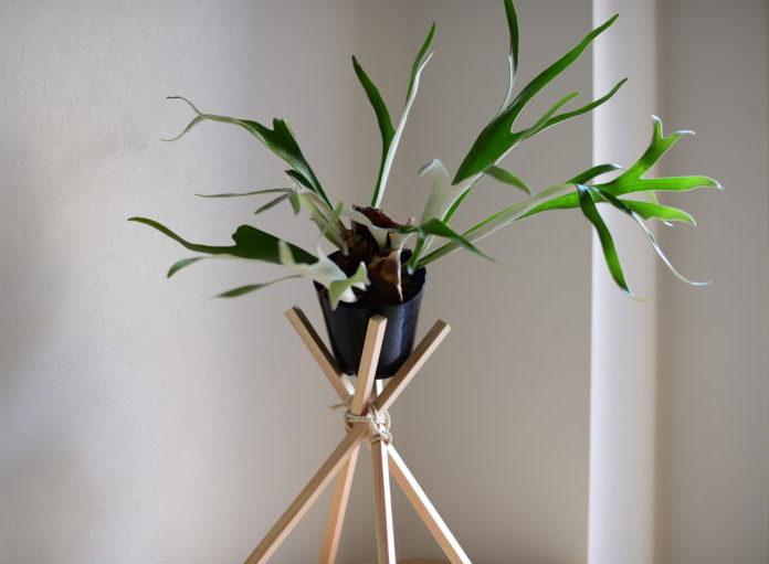 植物のおしゃれな飾り方の実例や簡単なdiyアイデアなどをご紹介 Lovegreen ラブグリーン
