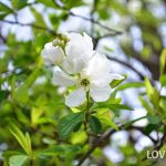 cc9ec252d5d4109d29d0659e1a9e95