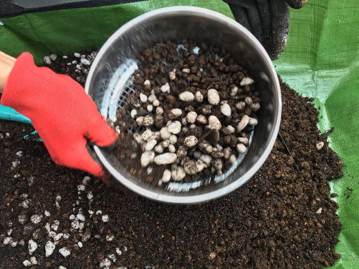ふるい分け  プランターの土を園芸シートなどの上で土ふるいにかけて鉢底石と土を分けます。