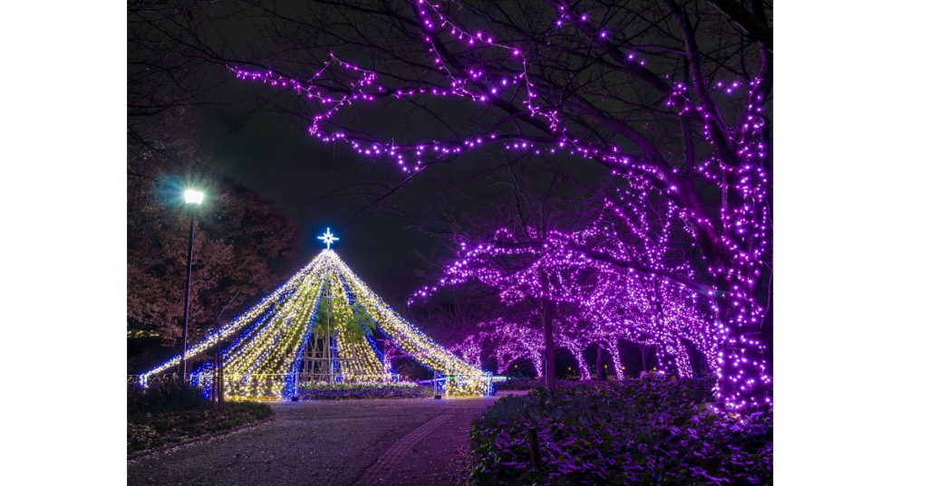 長居植物園 ガーデンイルミネーション17 天空の花園 大阪 関西地方 イベント 大阪市 大阪市立長居植物園で開催 Lovegreen ラブグリーン