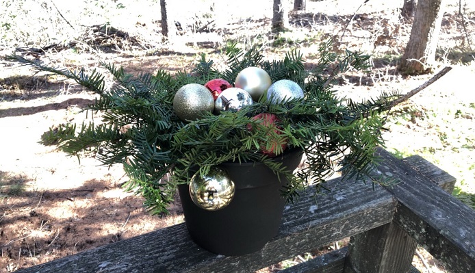 使っていない鉢をうまく活用 簡単にできるクリスマスの飾り付け Lovegreen ラブグリーン