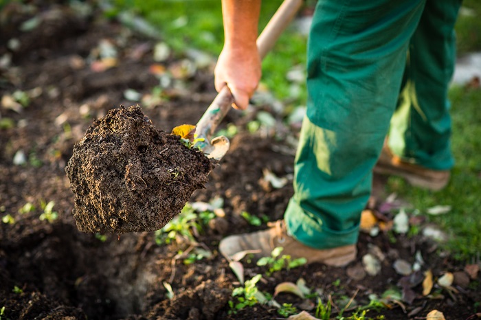 花壇を作りたい場所の土を30～40センチ掘り返します。大きな石や根っこ、ゴミみなどを取り除き、固い土をほぐしていきます。土壌は水はけがよく、なおかつ水持ちもよくなくてはなりません。そんな土の状態を団粒構造といいます。細かい土の粒子が固まったものがたくさん集まったもので、隙間があるので根っこが伸びやすく、水を通すことで空気の入れ替えも行います。そして、消石灰を混ぜて土の酸性を改良します。このとき、体についたり、目に入ったりしないように気を付けましょう。日本は酸性の土壌が強いので、消石灰を混ぜて土の酸性を改良する必要がありますが、まきすぎてアルカリ性になりすぎたら、ピートモスなどをまいて調整します。1週間くらいおいたら、次にたい肥や培養土を与えます。有機物が混ざることで栄養価の高いふかふかの土壌になります。さらに1週間くらいおいてから植物を植えていきましょう。