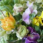 ラナンキュラスの切花を長持ちさせる裏技と生け方のコツ！
