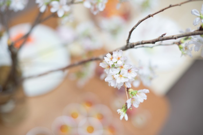 では、桜が与えてくれる、幸せな癒しの雰囲気を室内に持ち込むにはどうしたらいいのでしょうか？  桜色を室内に演出する方法は、様々にあります。  桜のデザインのウォールステッカーで壁を装飾したり、シルクフラワーやアートフラワーといった桜の造花を利用したりするのもいいでしょう。