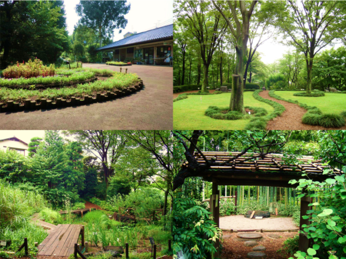 赤塚 植物園