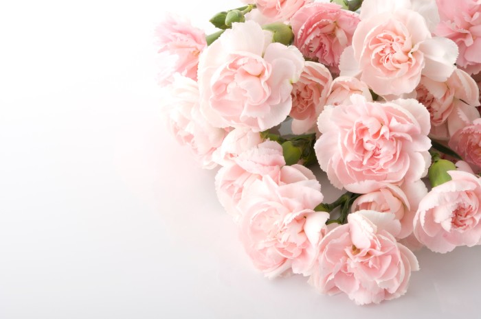 傘寿祝いのプレゼント 喜ばれる花言葉を持つお花10選 Lovegreen ラブグリーン